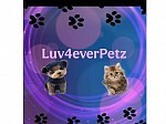 Luv4everPetz